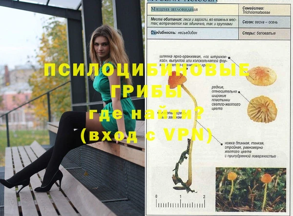 не бодяженный Богданович